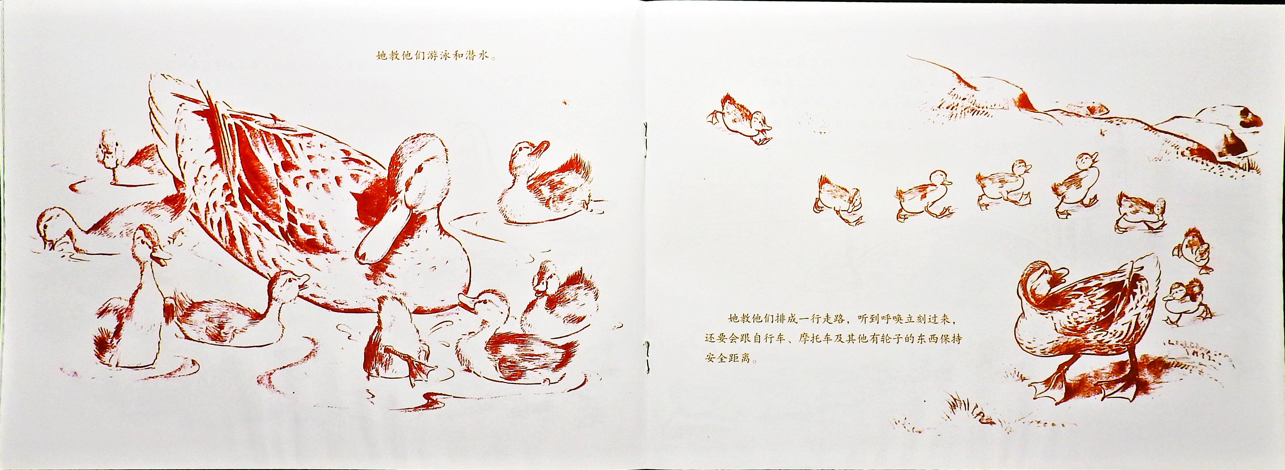 让路给小鸭子 (10),绘本,绘本故事,绘本阅读,故事书,童书,图画书,课外阅读